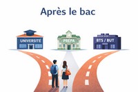 Après le bac