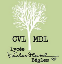 Logo CVL MDL